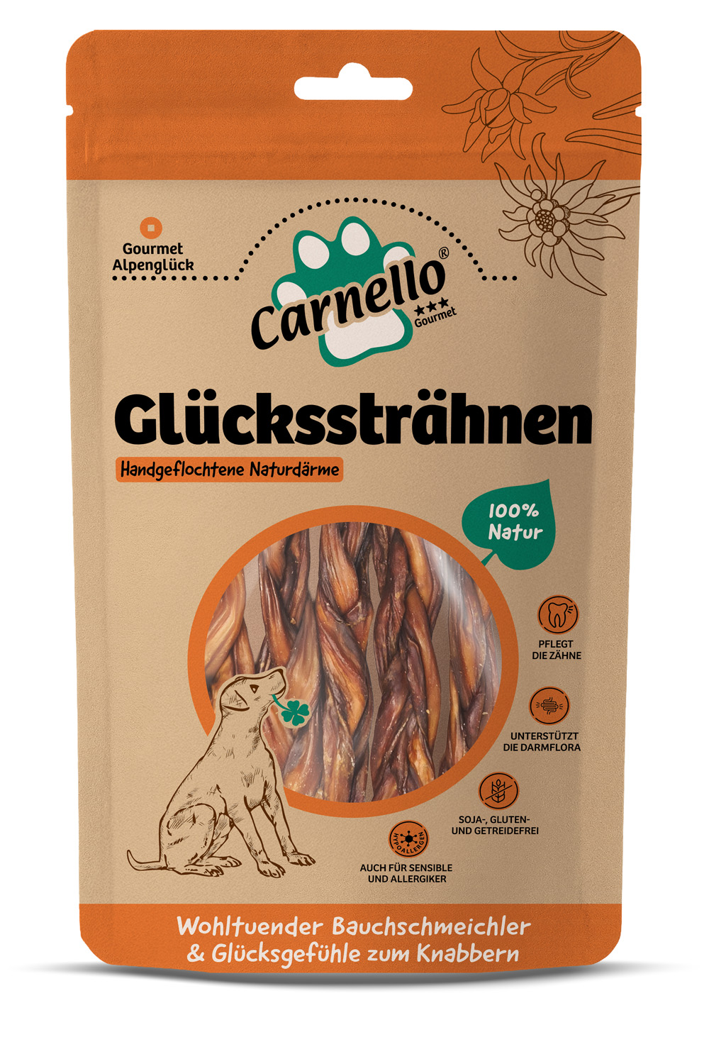 Glückssträhnen – Vorderseite