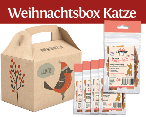 Weihnachtsbox Katze