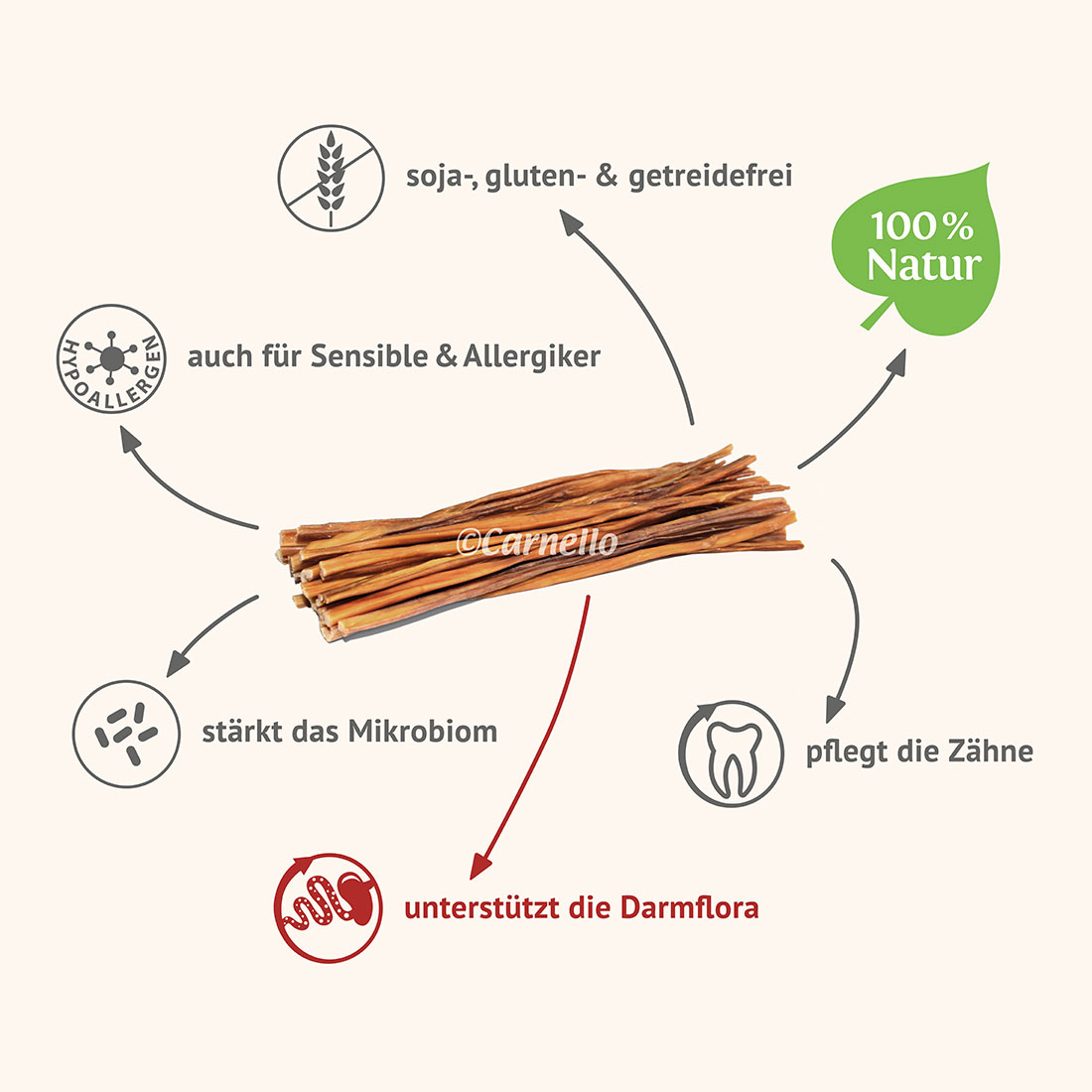 Carnello Hundespaghetti Vorteile Carnello Hundespaghetti Vorteile