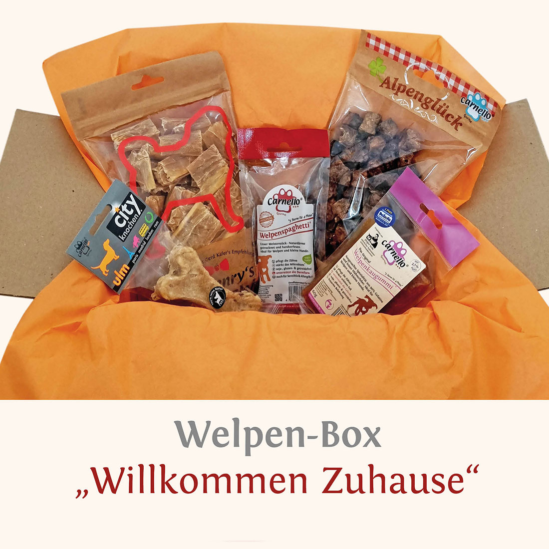 Carnello Welpenbox Willkommen Zuhause