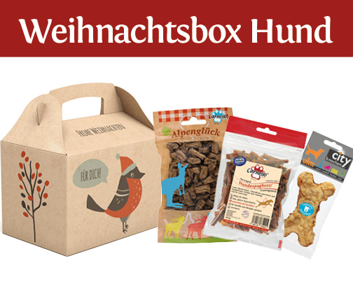 Weihnachtsbox Hund