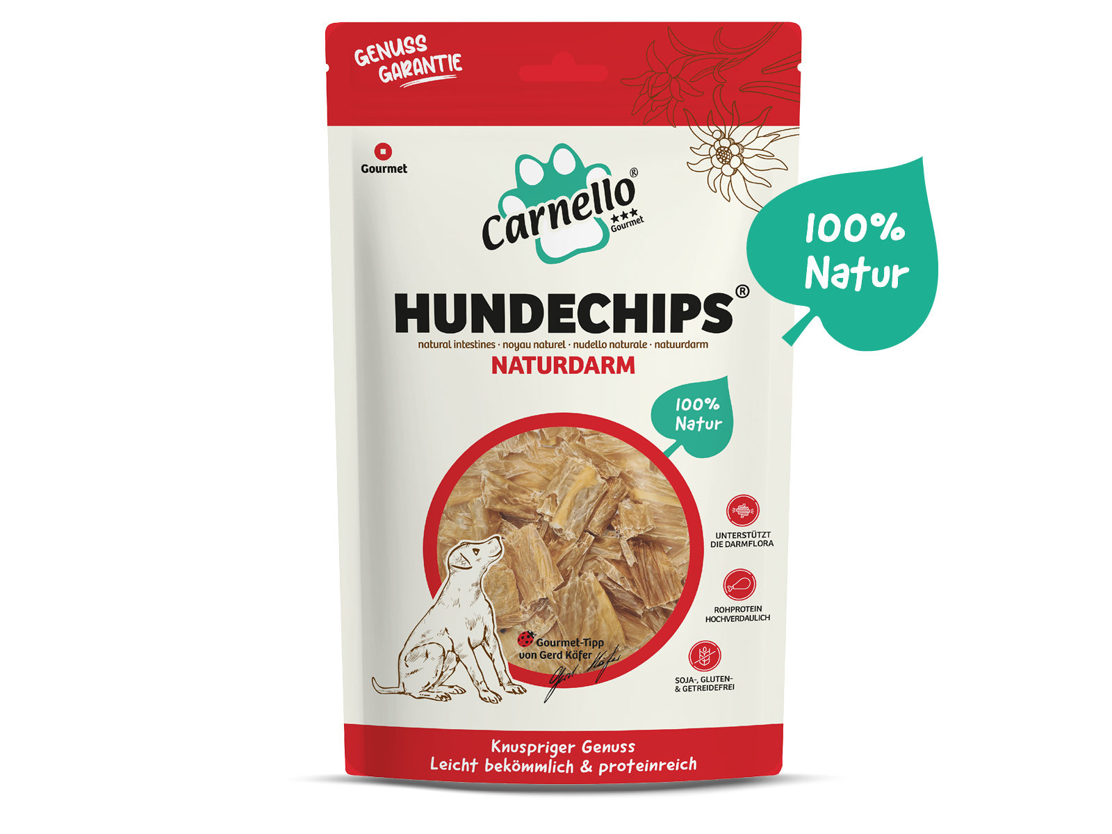 Hundechips