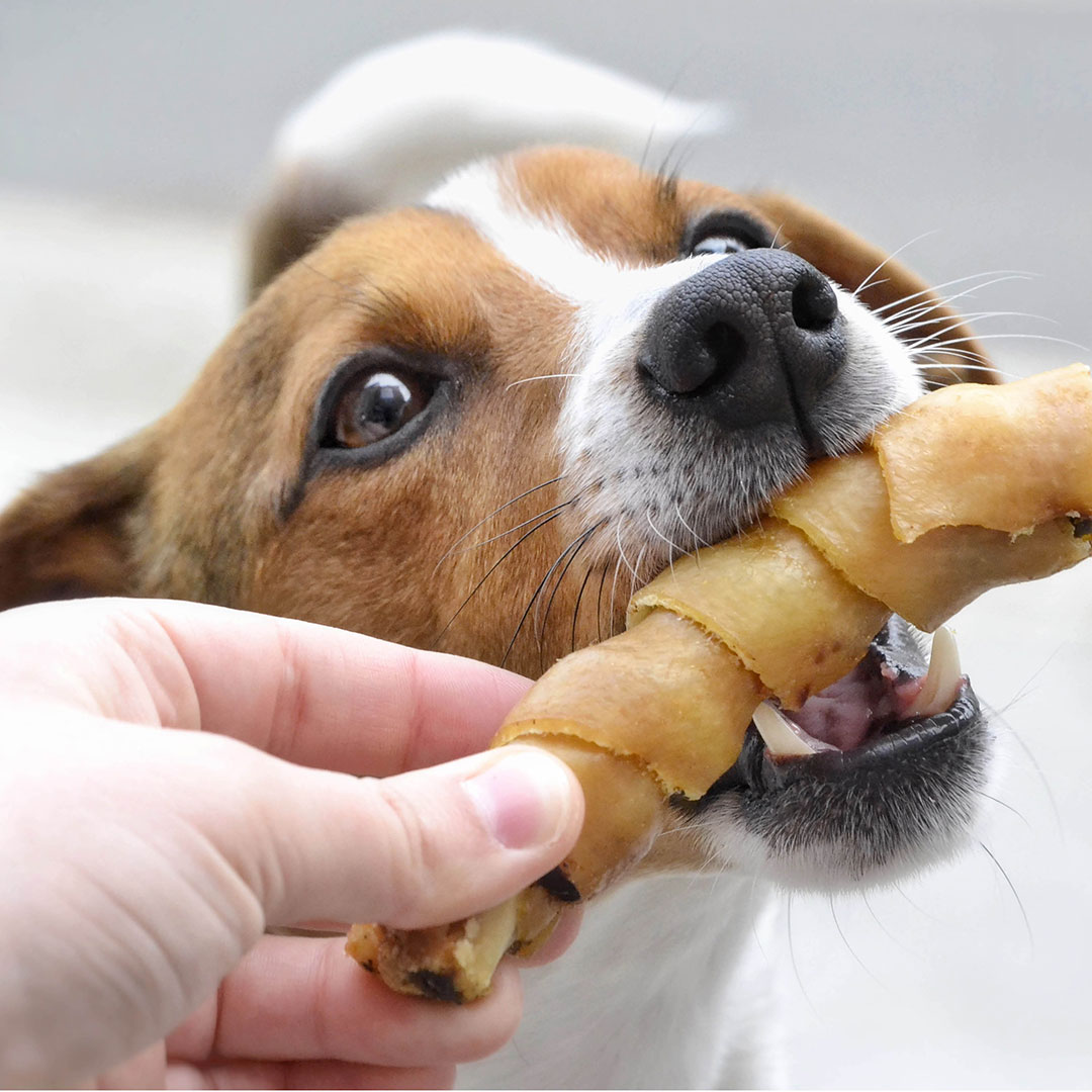 Carnello Hundecroissant Hund frisst